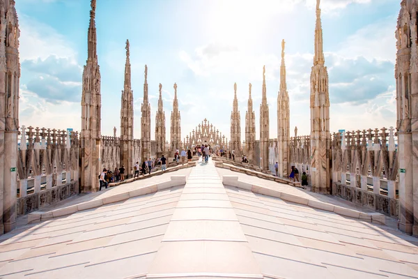 Duomo cattedrali sul tetto — Foto Stock