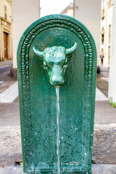 Fontein in Turin Stad — Stockfoto