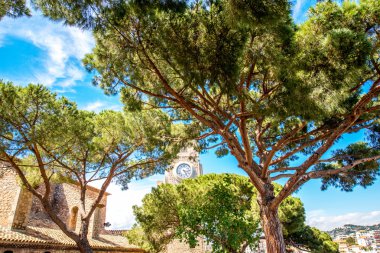 Cannes şehrinde Parkı