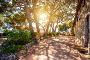 Cannes şehrinde Parkı