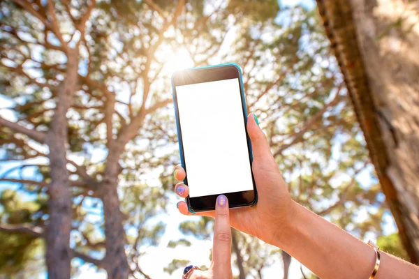 Téléphone sur le fond de la forêt — Photo