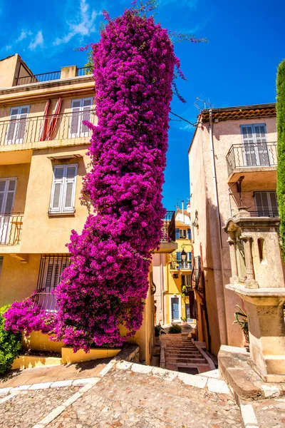 Budynki w Cannes — Zdjęcie stockowe