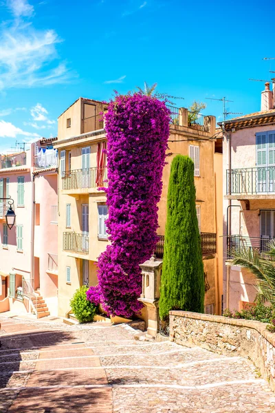 Buildings in Cannes — Stock Photo, Image