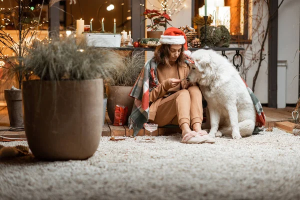Femme célébrant avec chien un Nouvel An vacances à la maison — Photo