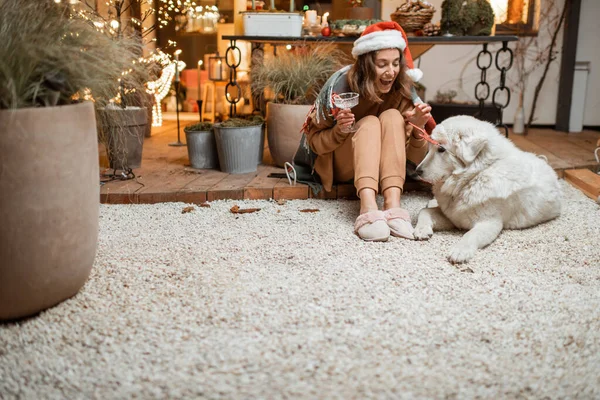 Mulher celebrando com o cão umas férias de Ano Novo em casa — Fotografia de Stock