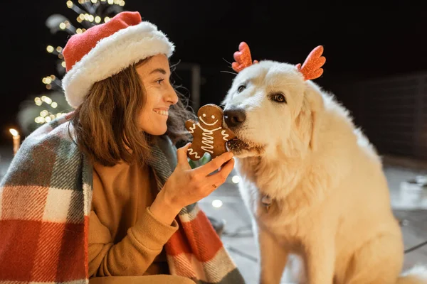 Femme célébrant avec chien un Nouvel An vacances à la maison — Photo