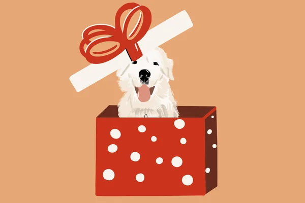 Hond in een geschenkdoos — Stockvector