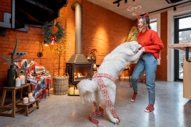 Yılbaşı tatilinde evde köpekli bir kadın