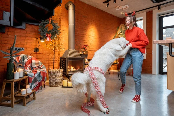 Femme avec chien pendant les vacances du Nouvel An à la maison — Photo