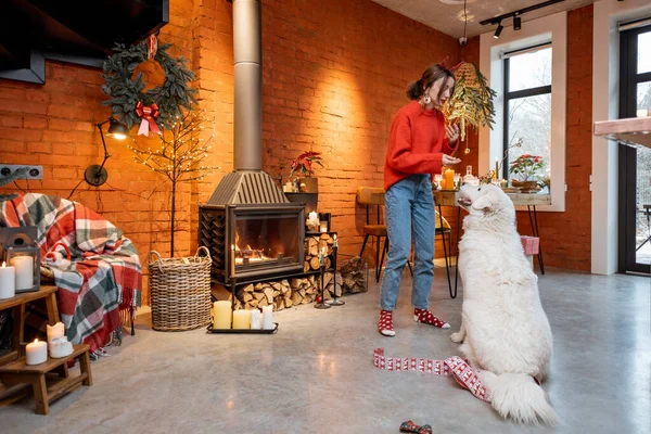 Femme avec chien pendant les vacances du Nouvel An à la maison — Photo