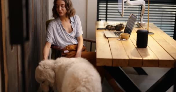 Wanita dengan anjing di kantor — Stok Video