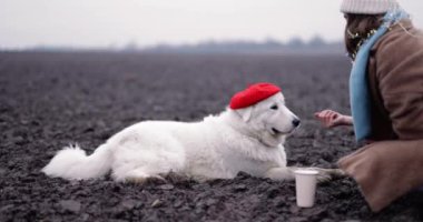 Sahada sevimli beyaz köpeği olan bir kadın.