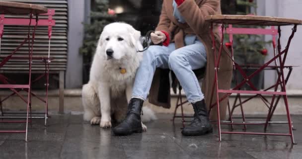 Σκύλος με τη γυναίκα ιδιοκτήτη της στο καφέ το χειμώνα — Αρχείο Βίντεο