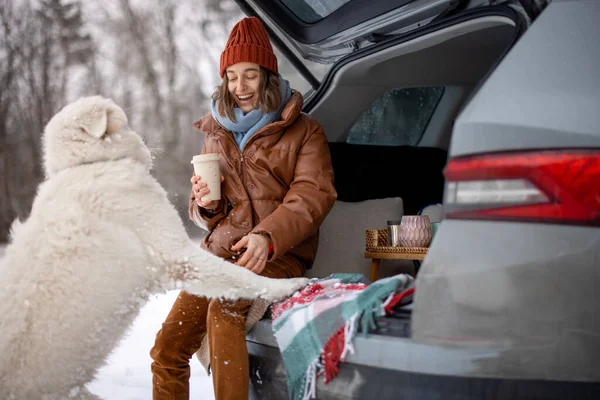 Женщина со своей собакой устраивает пикник в багажнике машины в зимнем лесу — стоковое фото