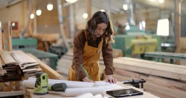 Trabajadores de carpintería diseñando en la carpintería — Vídeos de Stock