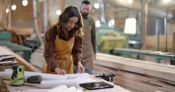 Trabajadores de carpintería diseñando en la carpintería — Vídeos de Stock