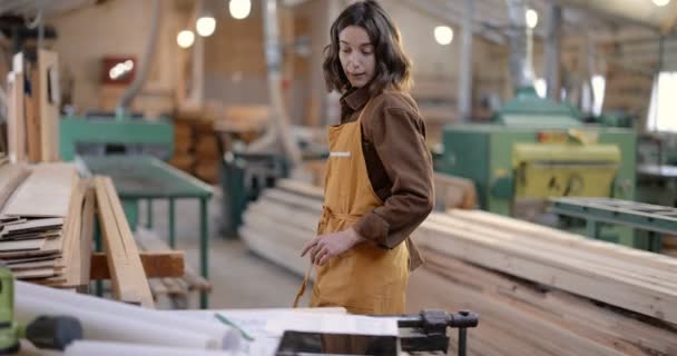 Trabajadores de carpintería diseñando en la carpintería — Vídeos de Stock