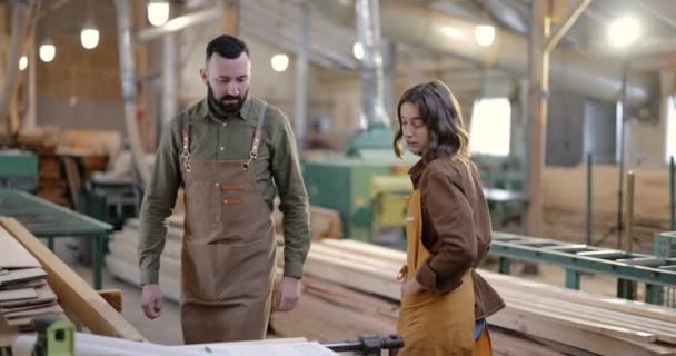 制造业有创意木匠工人的团队合作 — 图库视频影像