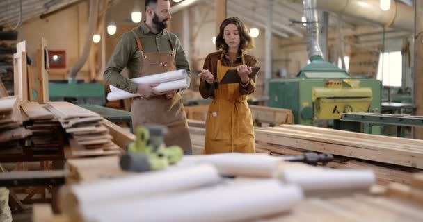 Trabalhadores de carpintaria criativa na fabricação — Vídeo de Stock