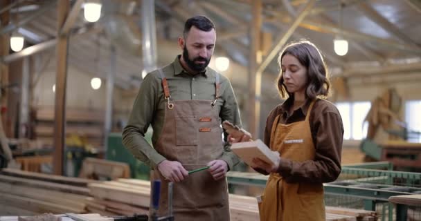 Dois trabalhadores de carpintaria na fabricação — Vídeo de Stock