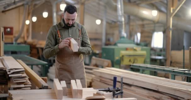 Hombre trabajando con madera en la carpintería — Vídeo de stock