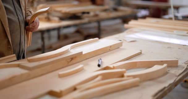 Finitura prodotti in legno, primo piano — Video Stock