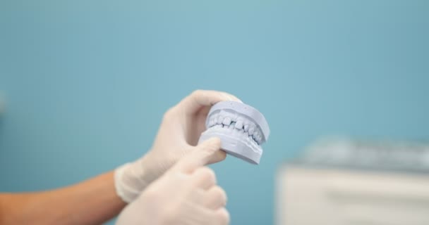 Dentista mirando un modelo de mandíbula — Vídeo de stock