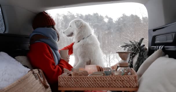 Γυναίκα απολαμβάνοντας οδικό ταξίδι με το σκυλί με το αυτοκίνητο κατά τη διάρκεια του χειμώνα — Αρχείο Βίντεο