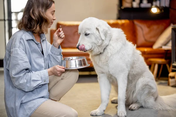 Kvinna matar en hund med torrfoder — Stockfoto