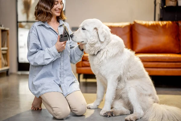 Mujer peina el pelo de los perros con un cepillo —  Fotos de Stock