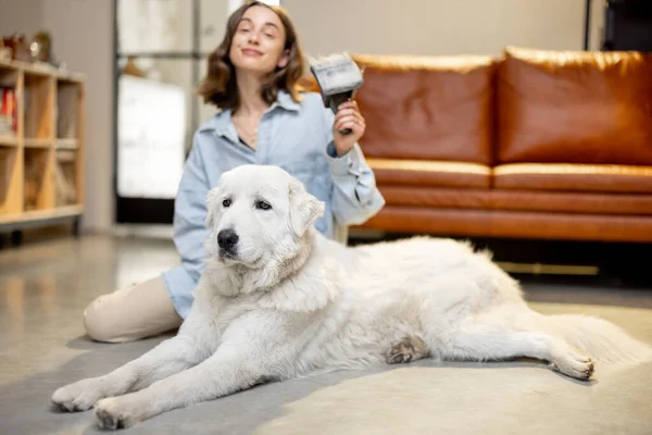 Femme peigne les cheveux des chiens avec une brosse — Photo