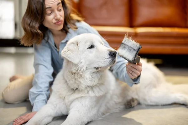 Mujer peina el pelo de los perros con un cepillo —  Fotos de Stock