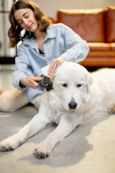 Mujer peina el pelo de los perros con un cepillo —  Fotos de Stock