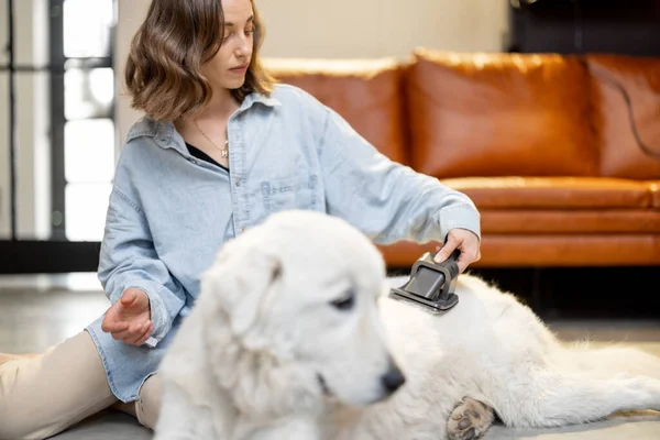 Femme peigne les cheveux des chiens avec une brosse — Photo