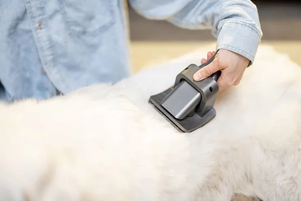 Female combs the dogs hair with a brush — Stock Photo, Image