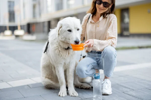 Femme donne une eau dans un bol à son chien — Photo