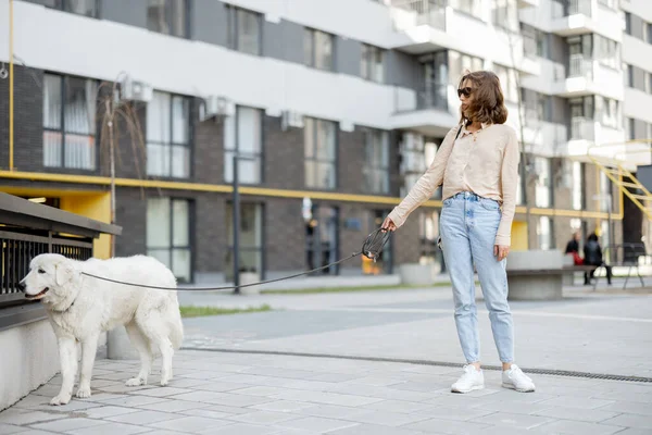 Mujer caminando con su gran perro blanco en la calle —  Fotos de Stock