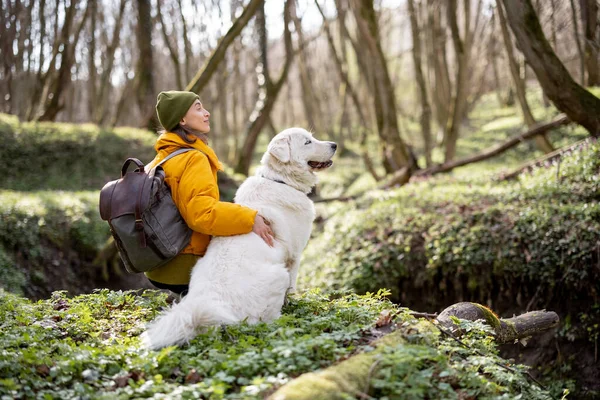 Mujer joven pasar tiempo junto con el perro en el bosque. —  Fotos de Stock