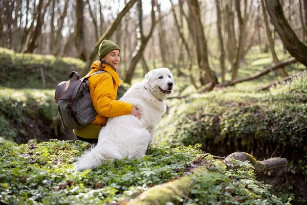 Jovem mulher passar tempo em conjunto com o cão na floresta. — Fotografia de Stock