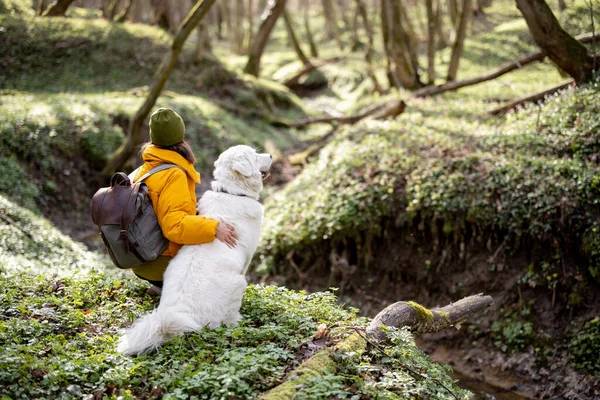 若い女性は森の中で犬と一緒に時間を過ごす. — ストック写真