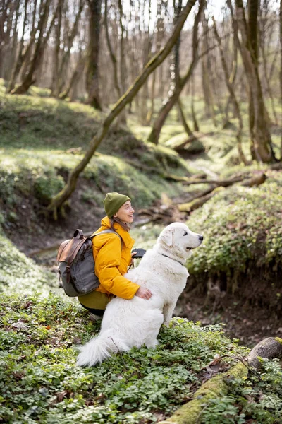 若い女性は森の中で犬と一緒に時間を過ごす. — ストック写真