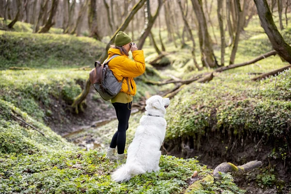 Vrouw in wandelkleding met camera in het bos — Stockfoto