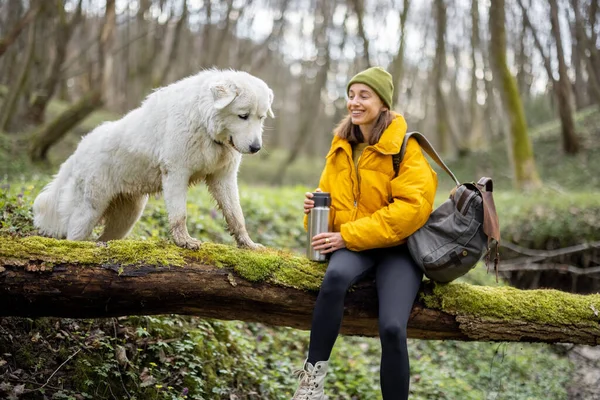 Kvinna dricker varmt te från termos i skogen — Stockfoto