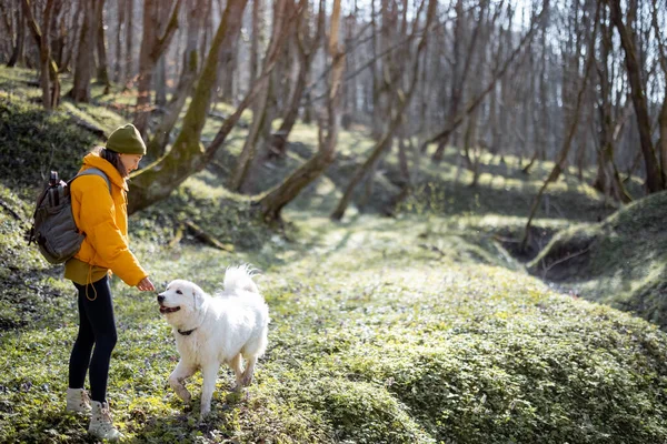 Jonge vrouw brengen tijd samen met hond in bos. — Stockfoto