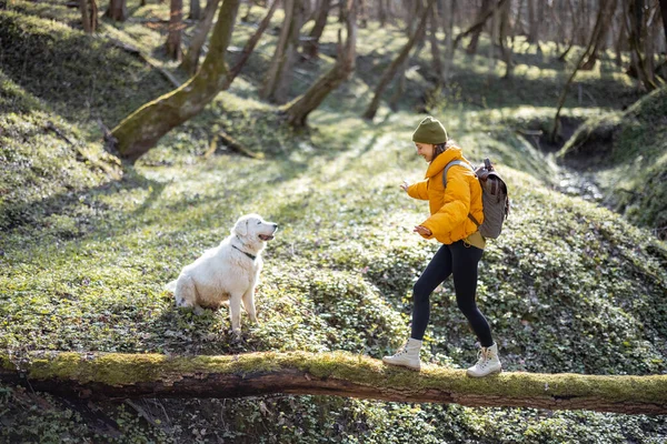 Jovem mulher passar tempo em conjunto com o cão na floresta. — Fotografia de Stock