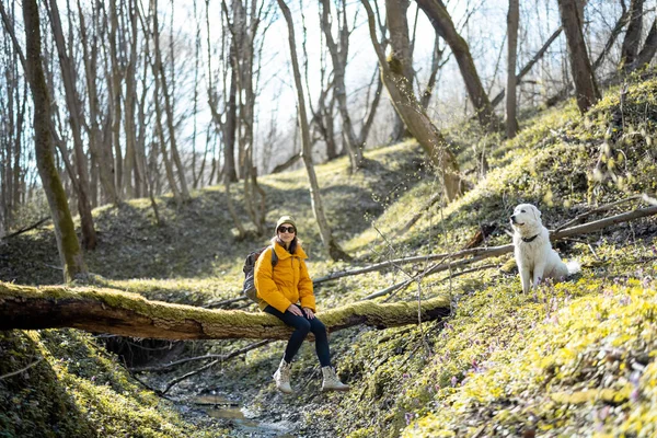 Fiatal nő időt tölteni kutyával az erdőben. — Stock Fotó