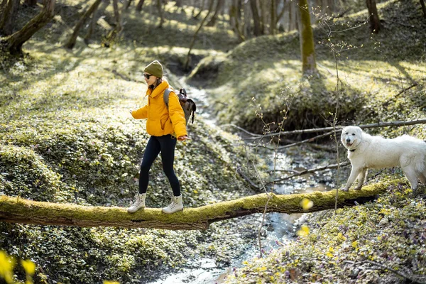 Young woman spend time together with dog in forest.