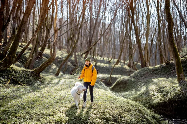 Mujer joven pasar tiempo junto con el perro en el bosque. — Foto de Stock