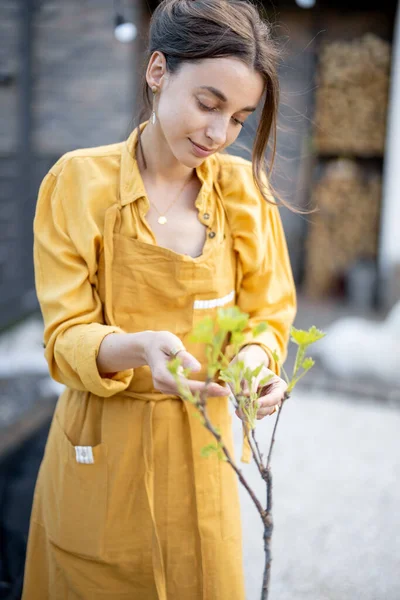 Dona de casa alegre no avental de jardineiro cuida de plantas — Fotografia de Stock