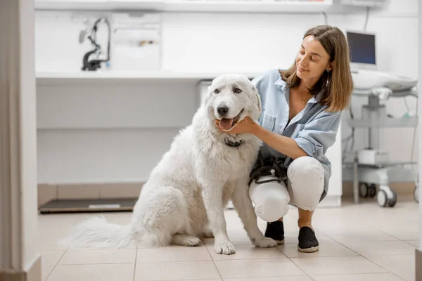 수의사 병원에서 큰 흰 개를 데리고 있는 여성 — 스톡 사진